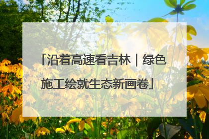 沿着高速看吉林｜绿色施工绘就生态新画卷