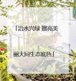 治水兴绿 擦亮美丽大同生态底色