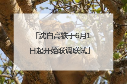 沈白高铁于6月1日起开始联调联试