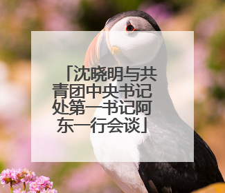沈晓明与共青团中央书记处第一书记阿东一行会谈