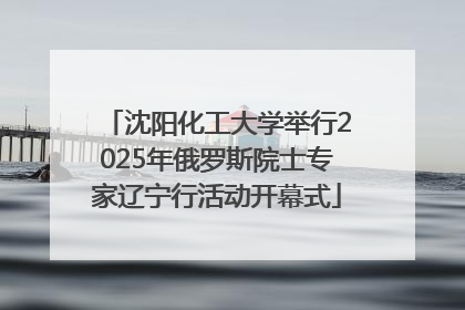 沈阳化工大学举行2025年俄罗斯院士专家辽宁行活动开幕式