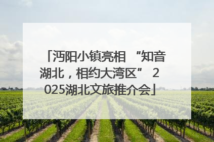 沔阳小镇亮相 “知音湖北，相约大湾区” 2025湖北文旅推介会