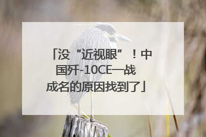 没“近视眼”！中国歼-10CE一战成名的原因找到了