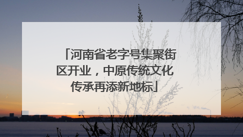 河南省老字号集聚街区开业，中原传统文化传承再添新地标