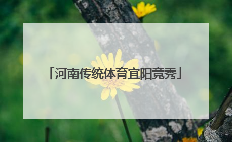 河南传统体育宜阳竞秀