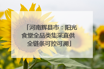 河南辉县市：阳光食堂全品类集采直供 全链条可控可溯