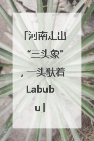 河南走出“三头象”，一头驮着Labubu