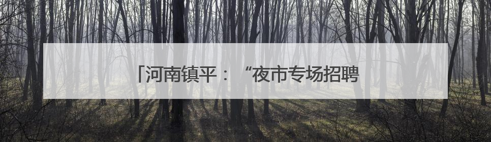 河南镇平：“夜市专场招聘会”千余岗位引才人气旺