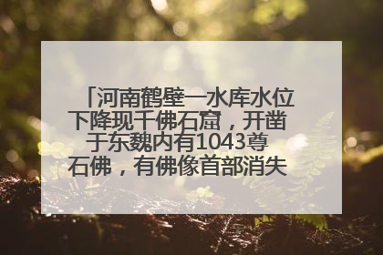 河南鹤壁一水库水位下降现千佛石窟，开凿于东魏内有1043尊石佛，有佛像首部消失，水库管理方回应