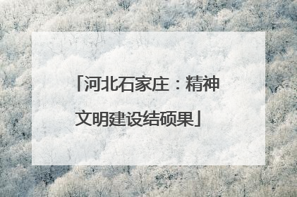 河北石家庄：精神文明建设结硕果