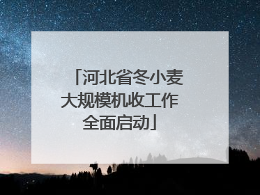 河北省冬小麦大规模机收工作全面启动