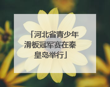 河北省青少年滑板冠军赛在秦皇岛举行