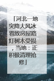 河北一地突降大风冰雹致房屋路灯树木受损，当地：正积极清理抢修