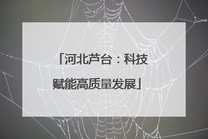 河北芦台：科技赋能高质量发展
