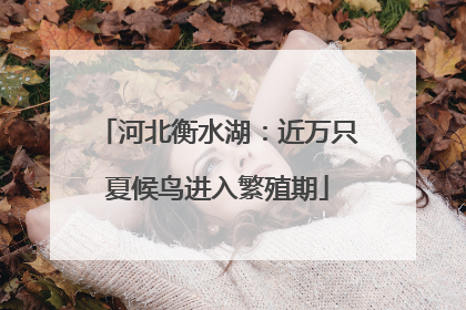 河北衡水湖：近万只夏候鸟进入繁殖期