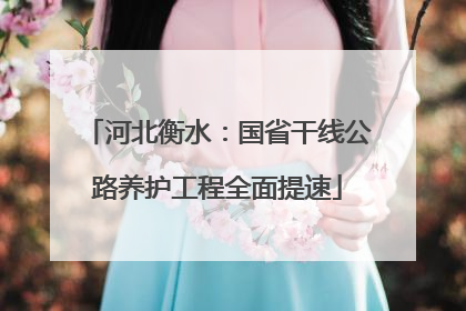 河北衡水：国省干线公路养护工程全面提速