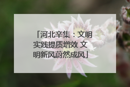 河北辛集：文明实践提质增效 文明新风蔚然成风