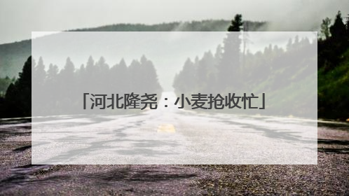 河北隆尧：小麦抢收忙