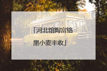 河北馆陶富铬黑小麦丰收