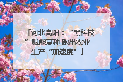 河北高阳：“黑科技”赋能夏种 跑出农业生产“加速度”