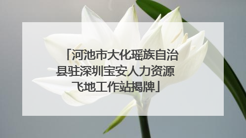 河池市大化瑶族自治县驻深圳宝安人力资源飞地工作站揭牌