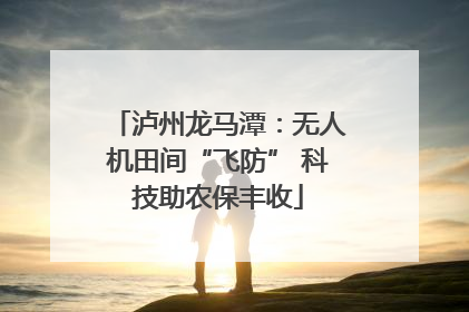 泸州龙马潭：无人机田间“飞防” 科技助农保丰收