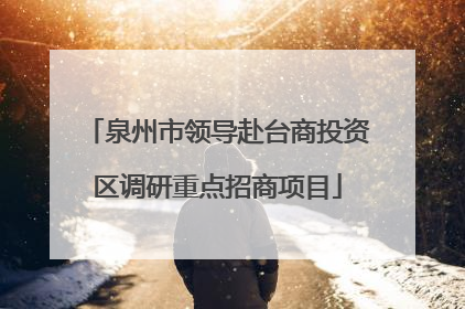 泉州市领导赴台商投资区调研重点招商项目