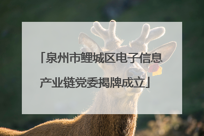 泉州市鲤城区电子信息产业链党委揭牌成立