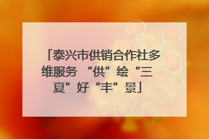 泰兴市供销合作社多维服务 “供”绘“三夏”好“丰”景