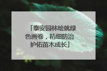 泰安园林绘就绿色画卷，精细防治护佑苗木成长
