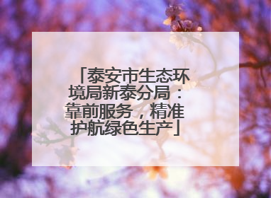 泰安市生态环境局新泰分局：靠前服务，精准护航绿色生产