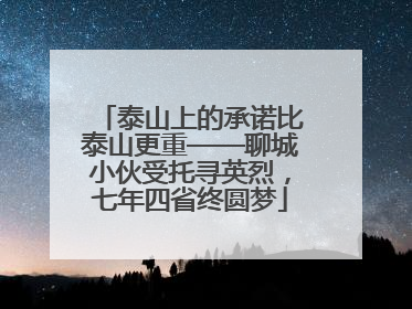 泰山上的承诺比泰山更重——聊城小伙受托寻英烈，七年四省终圆梦