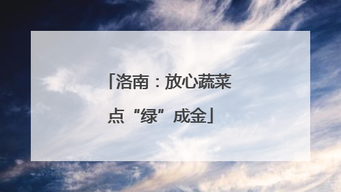 洛南：放心蔬菜点“绿”成金