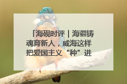 海砚时评｜海疆铸魂育新人，威海这样把爱国主义“种”进年轻人心里