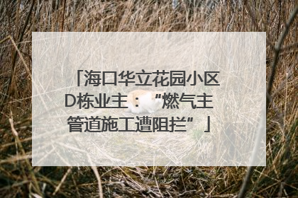 海口华立花园小区D栋业主：“燃气主管道施工遭阻拦”