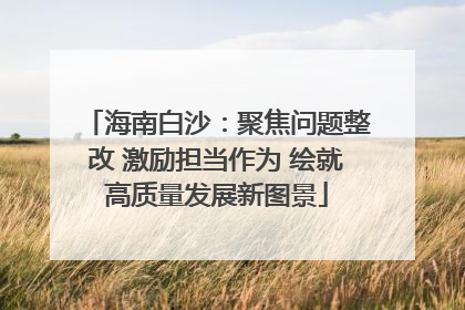 海南白沙：聚焦问题整改 激励担当作为 绘就高质量发展新图景