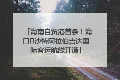 海南自贸港首条！海口⇌沙特阿拉伯吉达国际客运航线开通