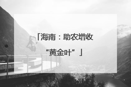 海南：助农增收 “黄金叶”
