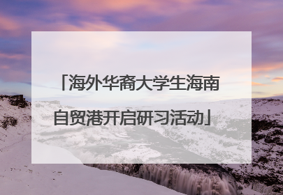 海外华裔大学生海南自贸港开启研习活动