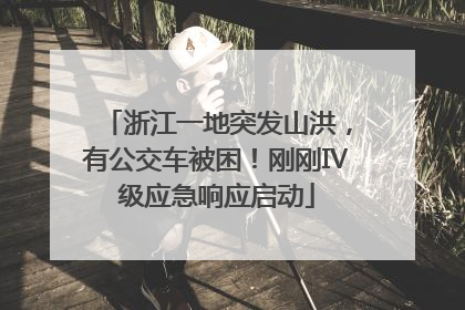 浙江一地突发山洪，有公交车被困！刚刚Ⅳ级应急响应启动