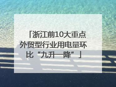 浙江前10大重点外贸型行业用电量环比“九升一降”