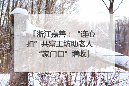 浙江嘉善：“连心扣”共富工坊助老人“家门口”增收