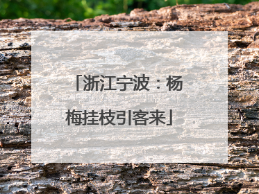 浙江宁波：杨梅挂枝引客来