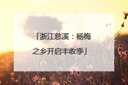 浙江慈溪：杨梅之乡开启丰收季