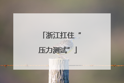 浙江扛住“压力测试”