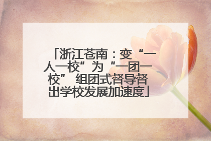 浙江苍南：变“一人一校”为“一团一校” 组团式督导督出学校发展加速度