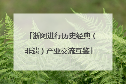浙阿进行历史经典（非遗）产业交流互鉴