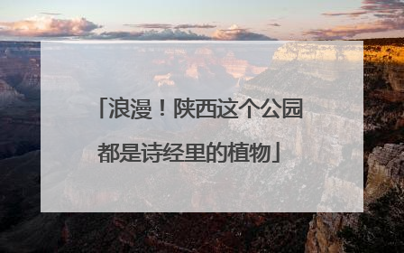 浪漫！陕西这个公园都是诗经里的植物