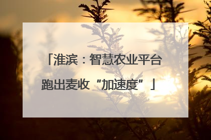 淮滨：智慧农业平台跑出麦收“加速度”