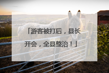 游客被打后，县长开会，全县整治！